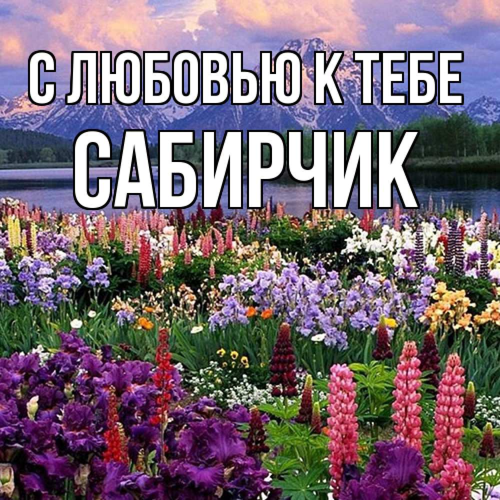 Открытка  с именем. Сабирчик, С любовью к тебе  