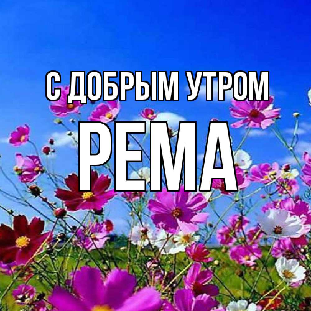 Открытка  с именем. Рема, С добрым утром  