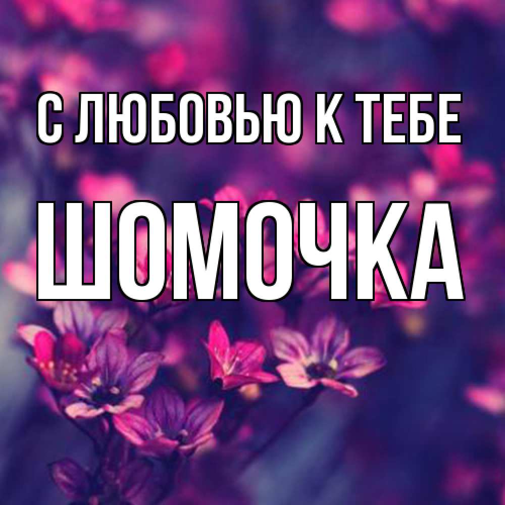 Открытка  с именем. Шомочка, С любовью к тебе  