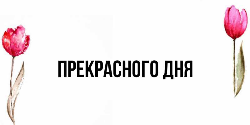 Картинка Прекрасного дня, 