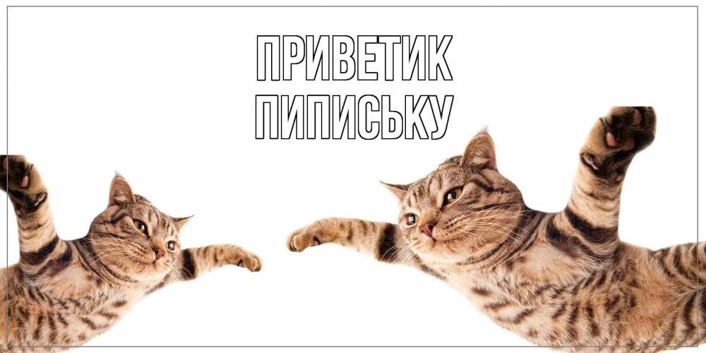 Открытка  с именем. Пипиську, приветик  