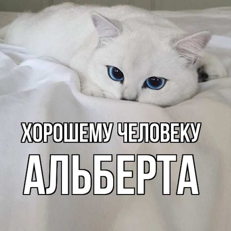 Картинка Хорошему человеку, Альберта