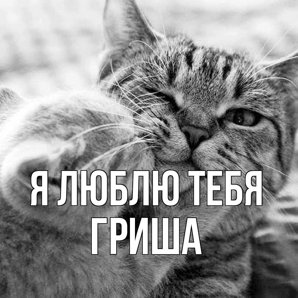 Открытка  с именем. Гриша, Я люблю тебя  