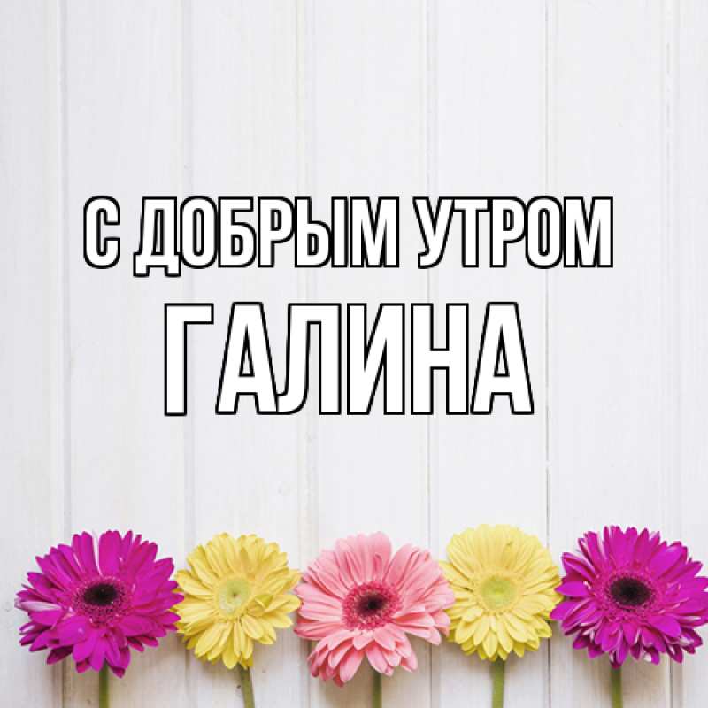 Картинка С добрым утром, Галина