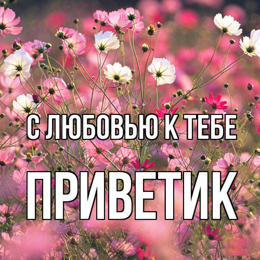 Открытка  с именем. приветик, С любовью к тебе  