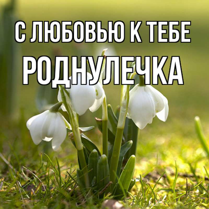 Картинка С любовью к тебе, Роднулечка