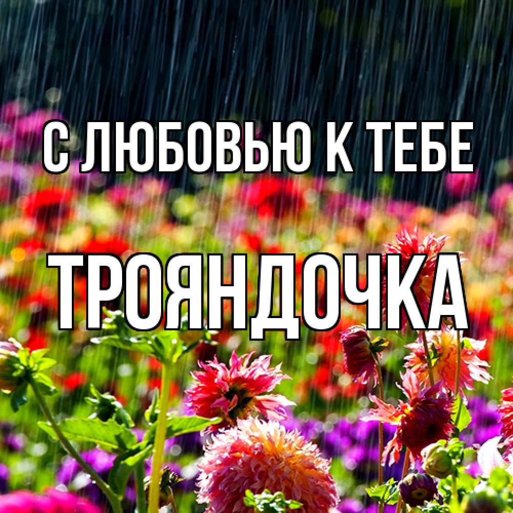 Открытка  с именем. Трояндочка, С любовью к тебе  