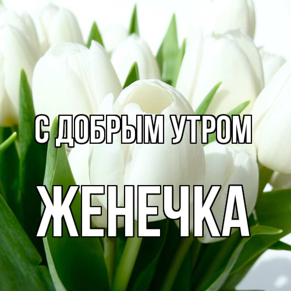 Открытка  с именем. Женечка, С добрым утром  
