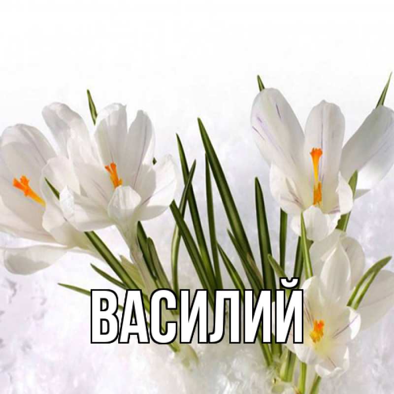 Картинка  с именем , Василий