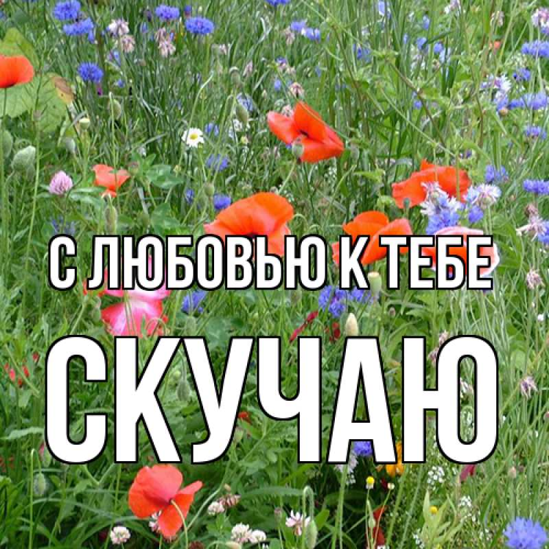 Картинка С любовью к тебе, Скучаю