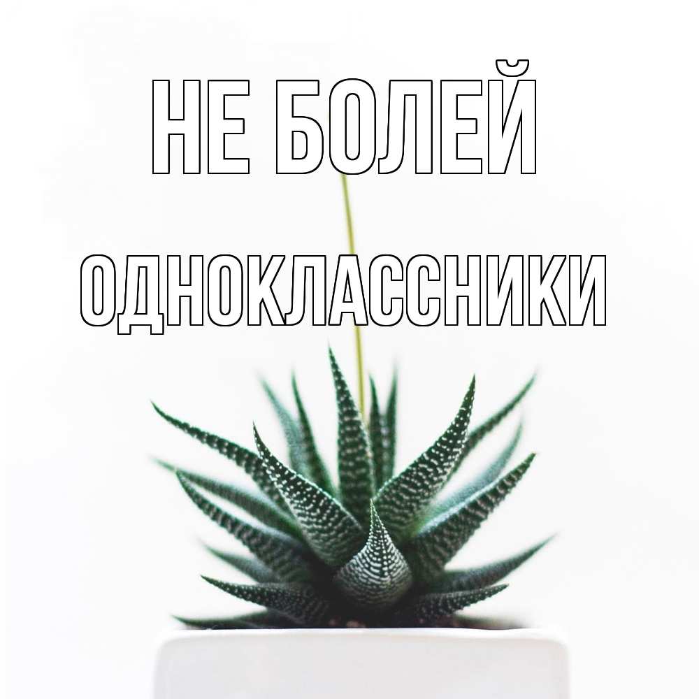 Открытка  с именем. Одноклассники, Не болей  