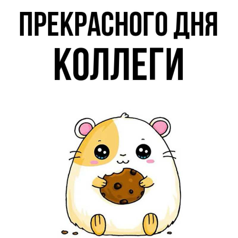 Картинка Прекрасного дня, коллеги