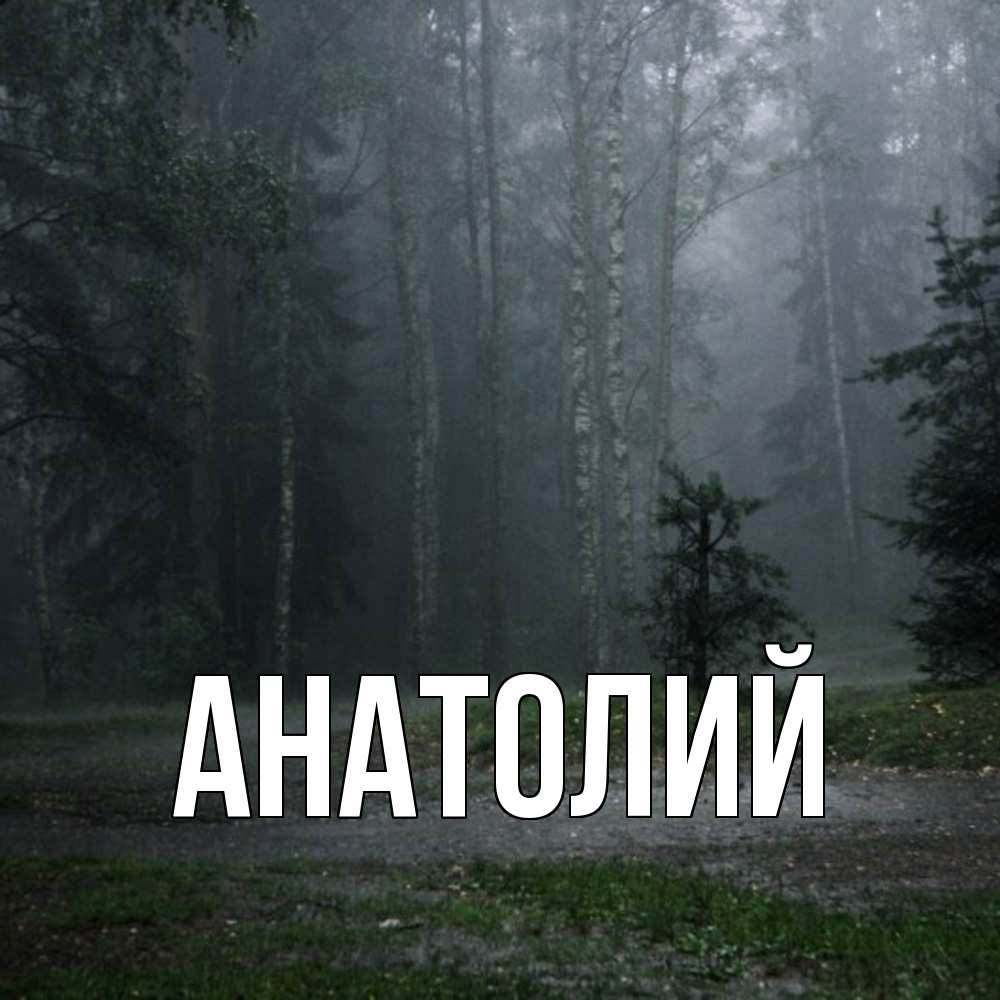Открытка  с именем. Анатолий, Главная  