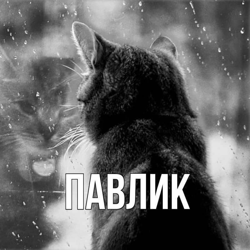 Картинка  с именем , Павлик