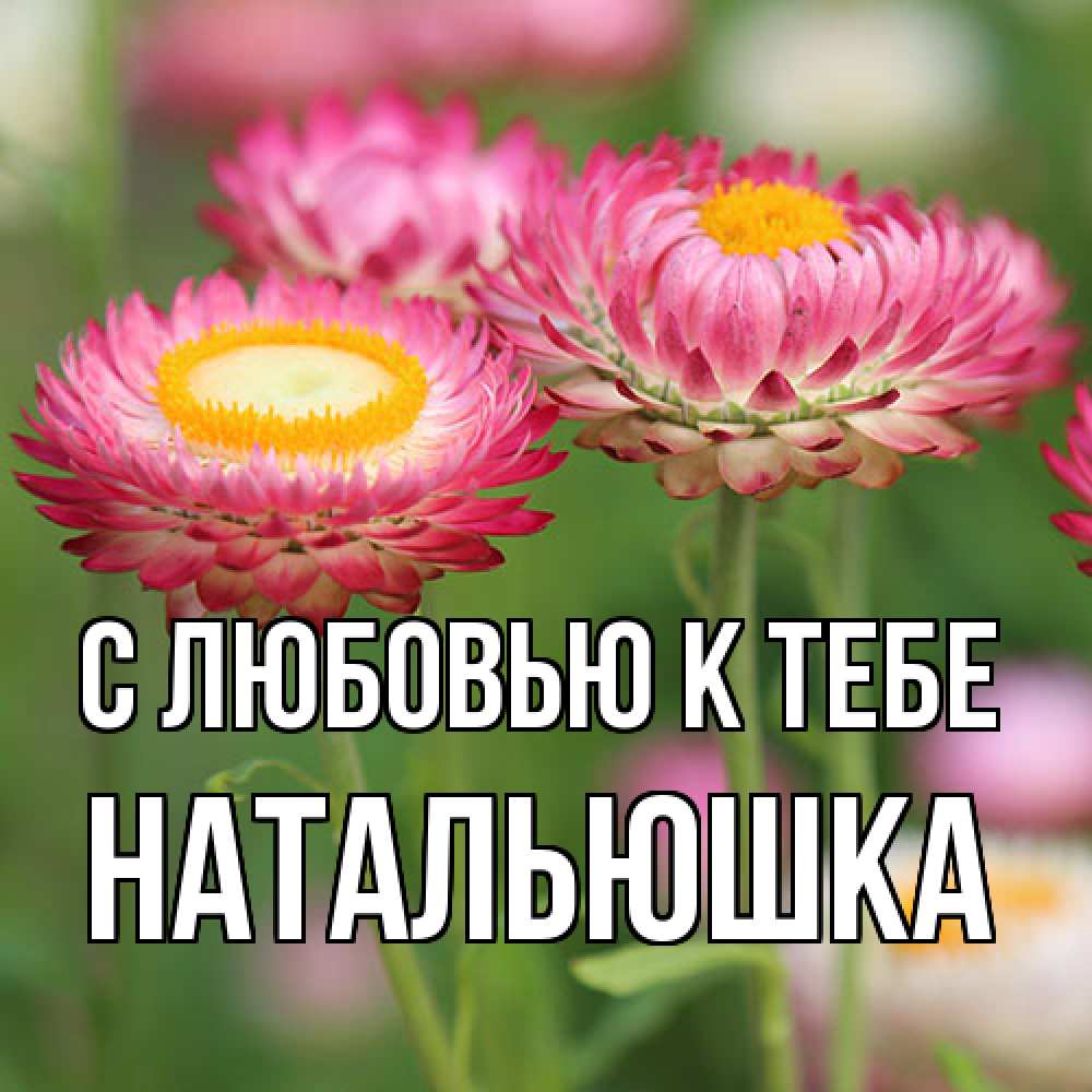 Открытка  с именем. Натальюшка, С любовью к тебе  