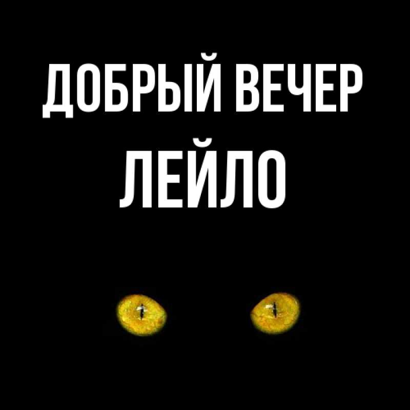 Картинка Добрый вечер, Лейло