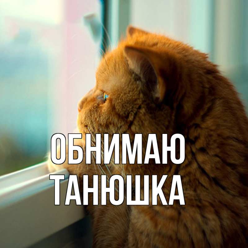 Картинка Обнимаю, Танюшка