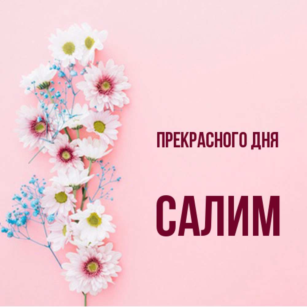 Открытка  с именем. Салим, Прекрасного дня  