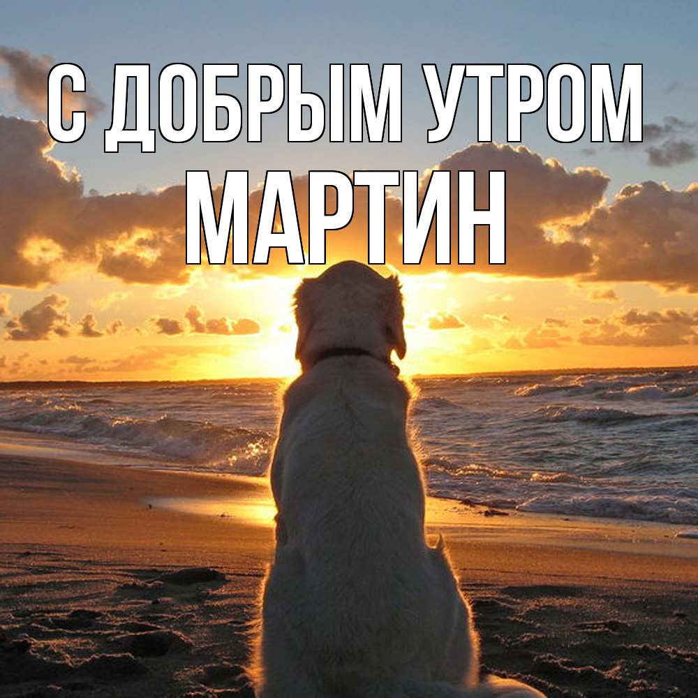 Открытка  с именем. Мартин, С добрым утром  
