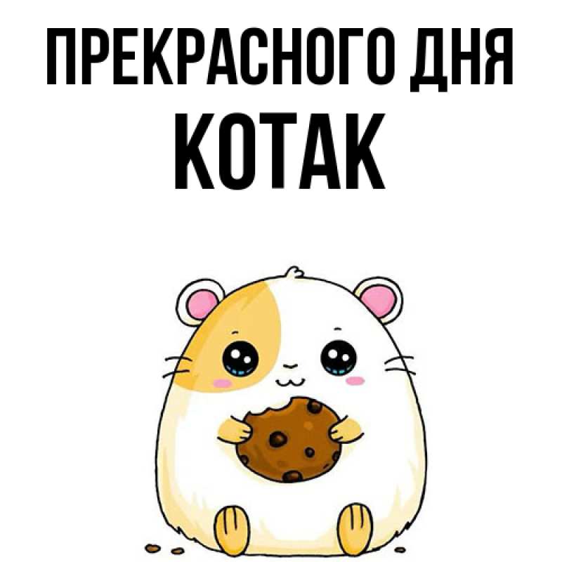 Картинка Прекрасного дня, КОТАК