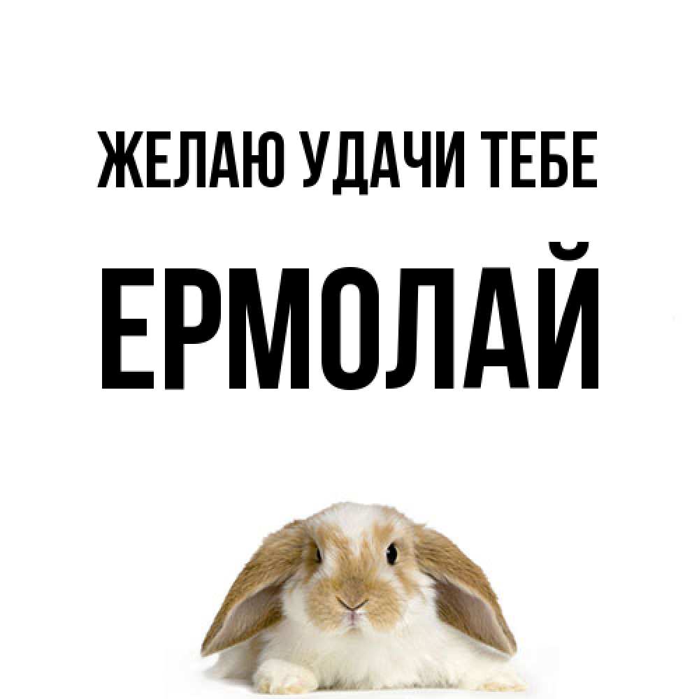 Открытка  с именем. Ермолай, Желаю удачи тебе  