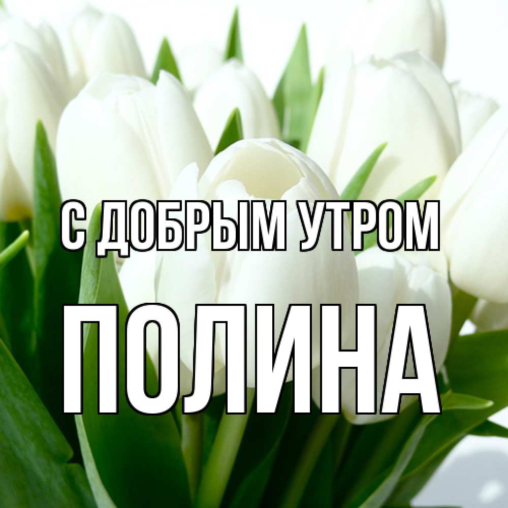 Открытка  с именем. Полина, С добрым утром  