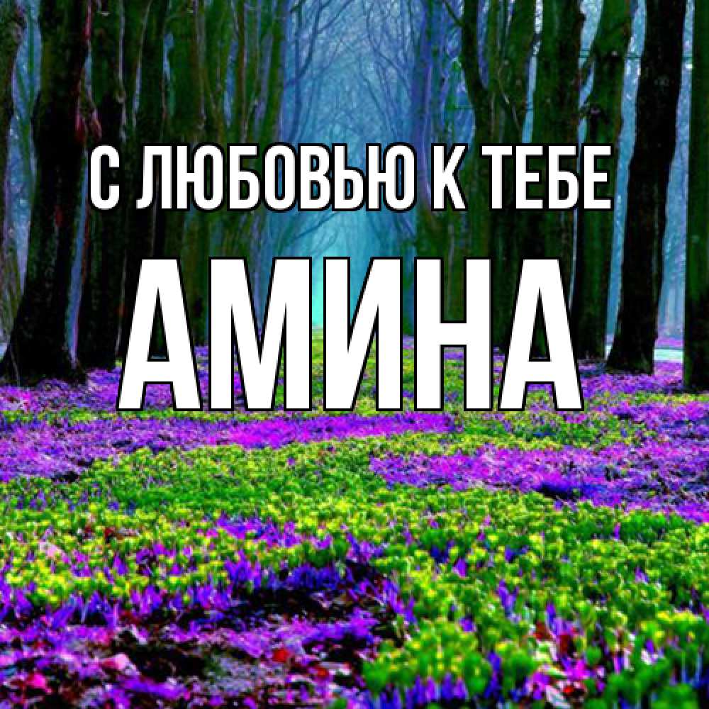 Открытка  с именем. Амина, С любовью к тебе  