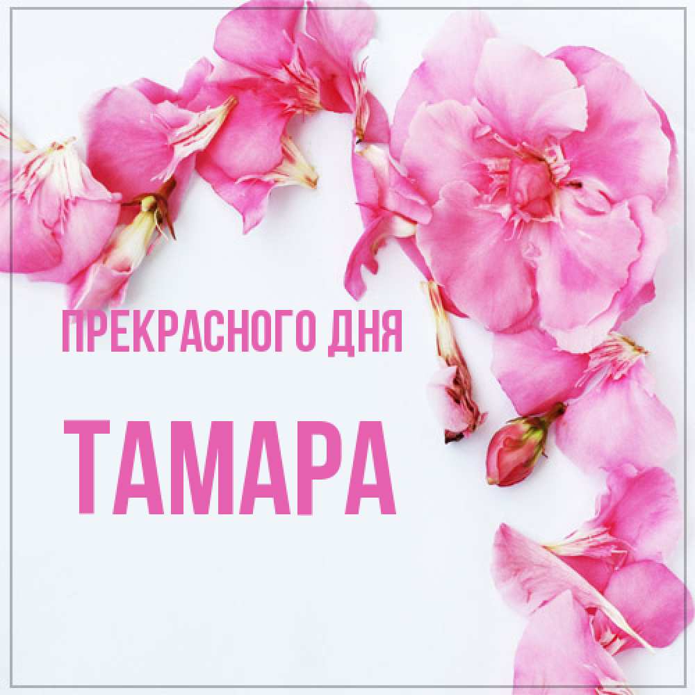 Открытка  с именем. Тамара, Прекрасного дня  