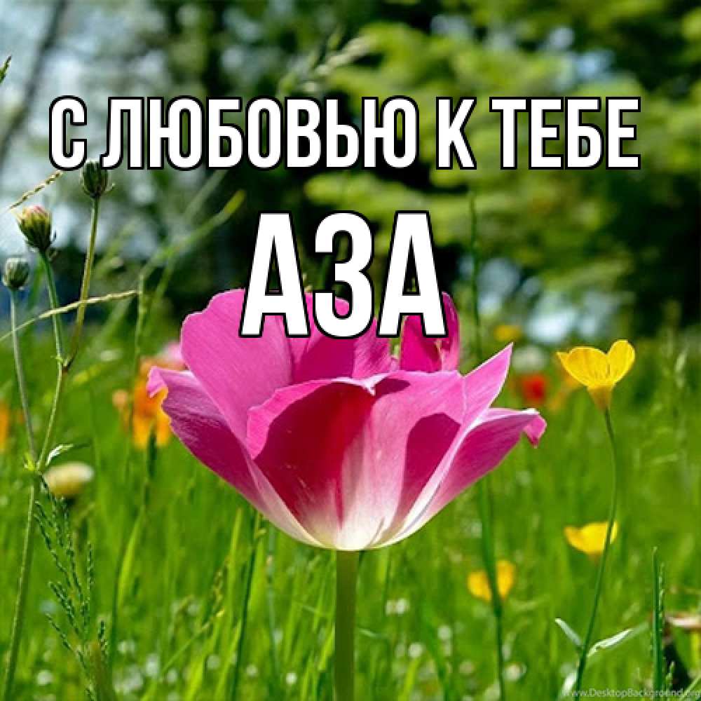 Открытка  с именем. Аза, С любовью к тебе  