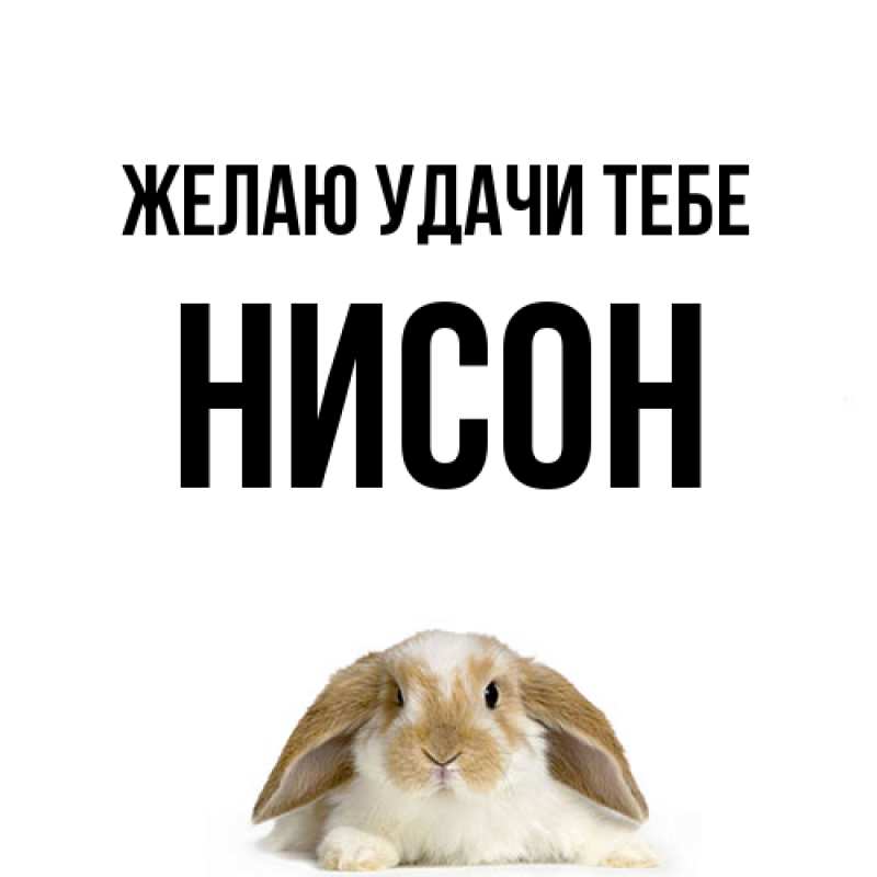 Картинка Желаю удачи тебе, Нисон