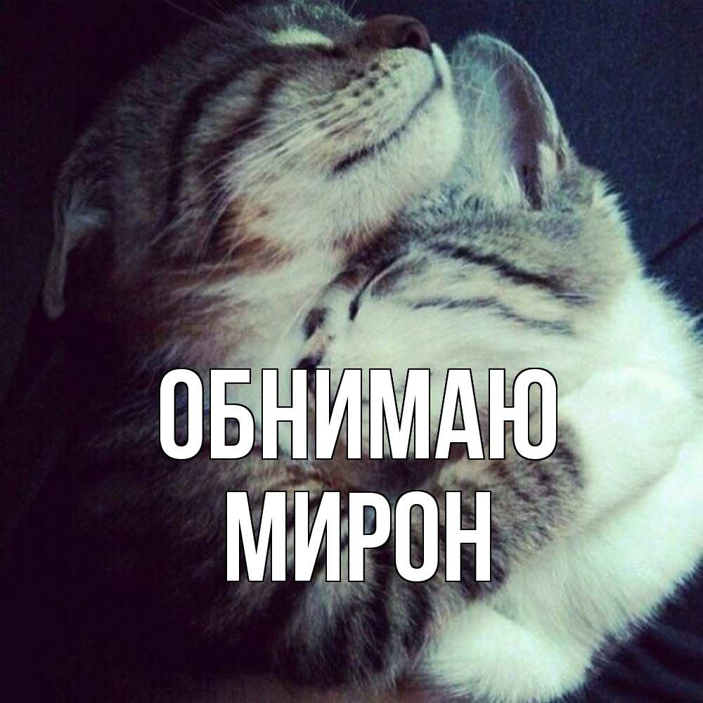 Открытка  с именем. Мирон, Обнимаю  
