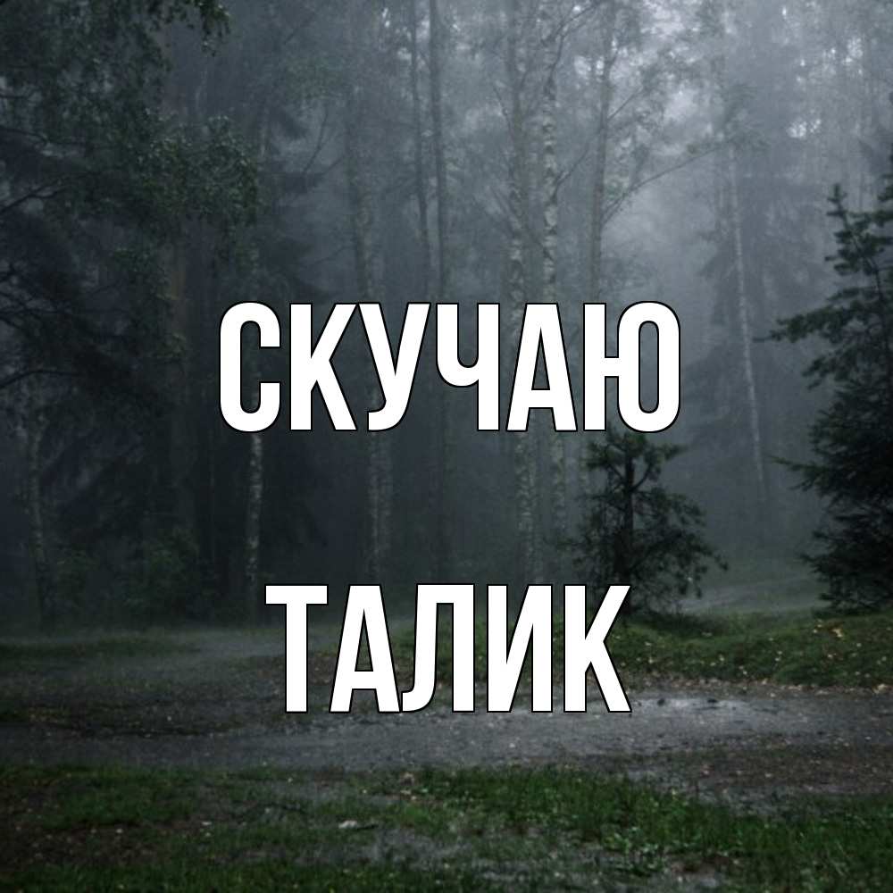 Открытка  с именем. Талик, Скучаю  