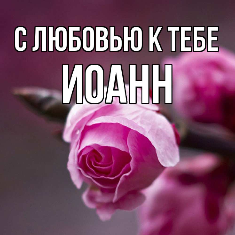 Открытка  с именем. иоанн, С любовью к тебе  