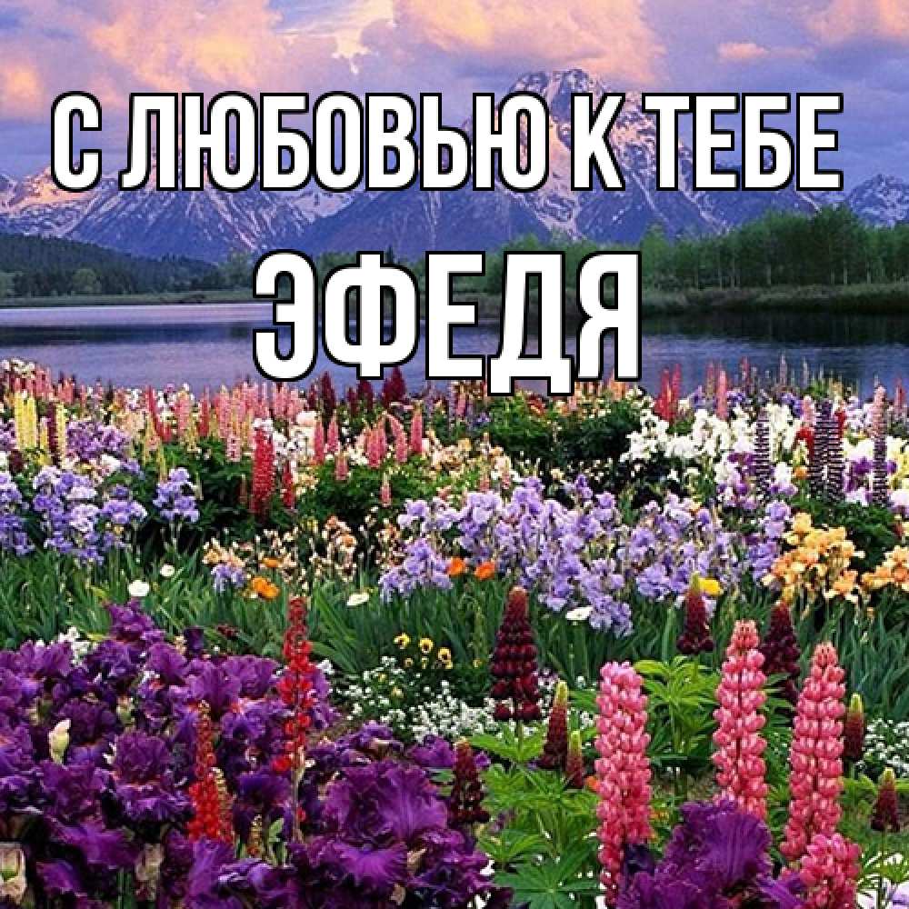 Открытка  с именем. ЭФедя, С любовью к тебе  