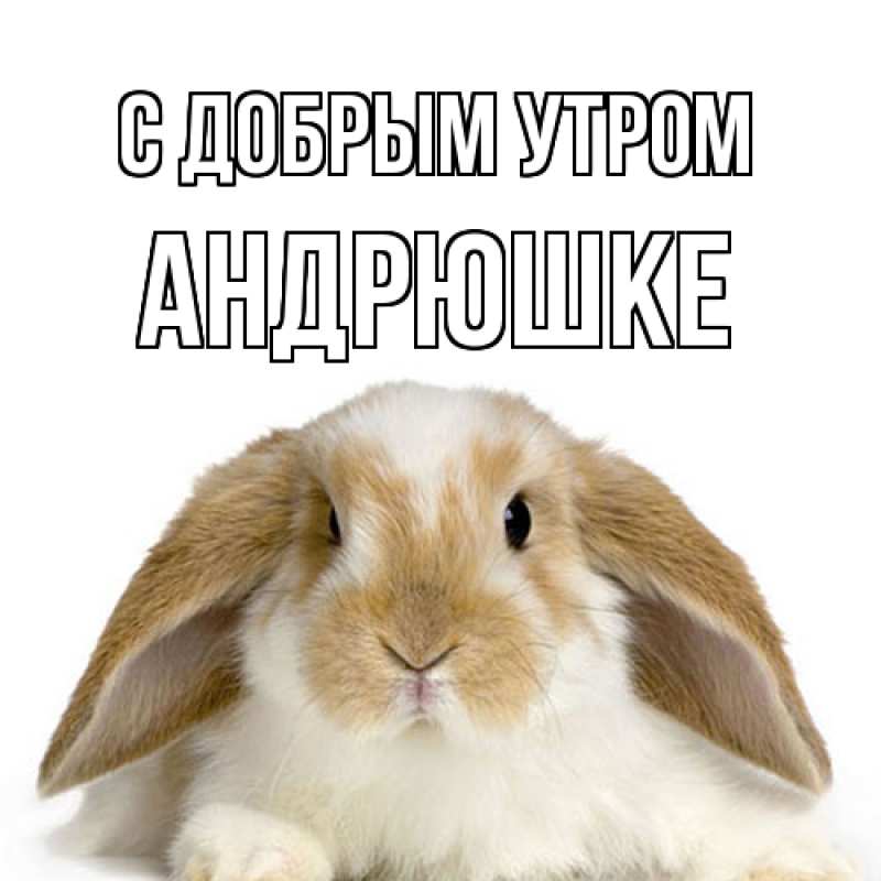 Картинка С добрым утром, Андрюшке