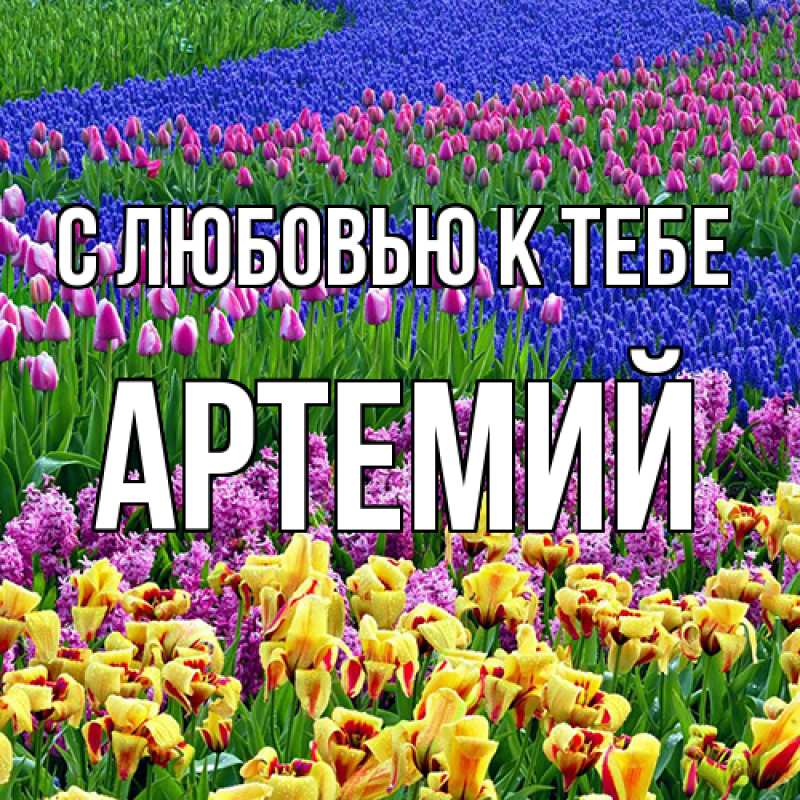 Картинка С любовью к тебе, Артемий