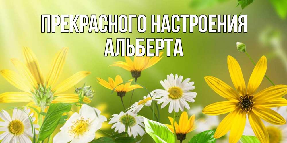 Открытка  с именем. Альберта, Прекрасного настроения  