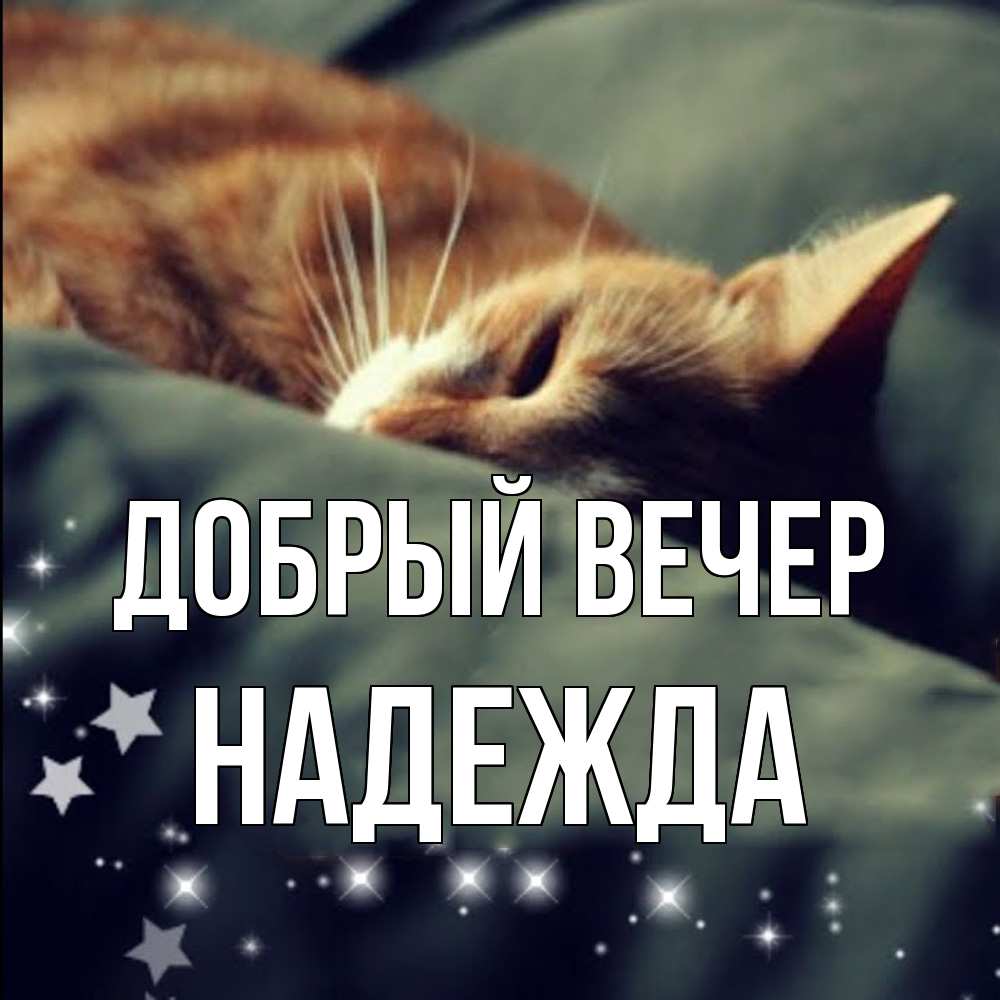 Открытка  с именем. Надежда, Добрый вечер  