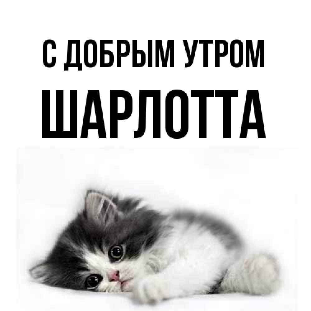Открытка  с именем. Шарлотта, С добрым утром  