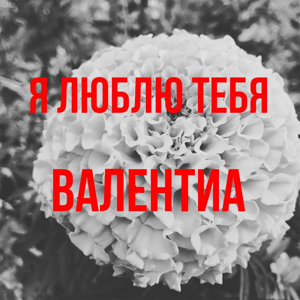 Открытка  с именем. Валентиа, Я люблю тебя  