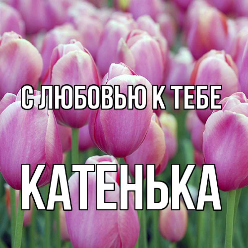 Картинка С любовью к тебе, Катенька