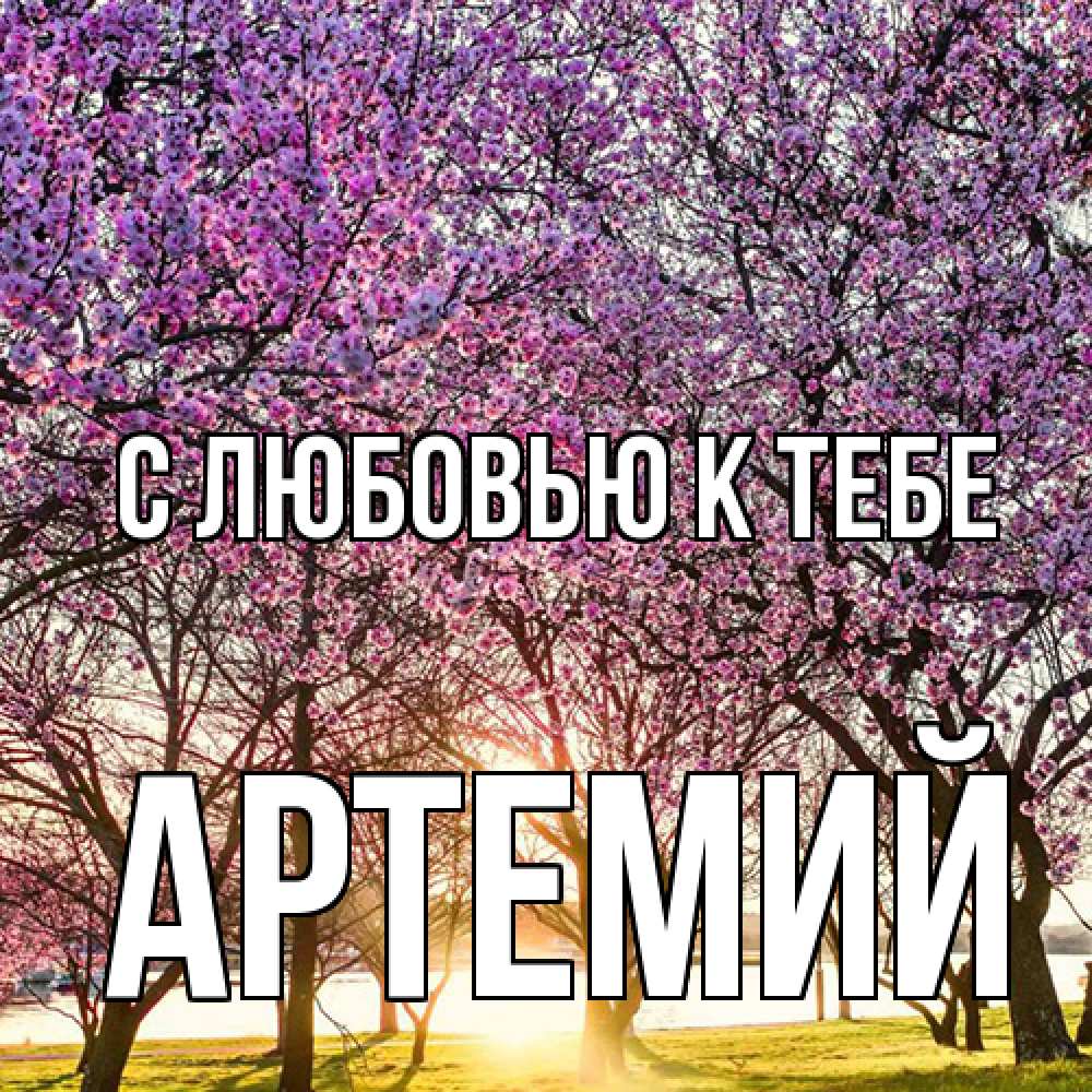 Открытка  с именем. Артемий, С любовью к тебе  