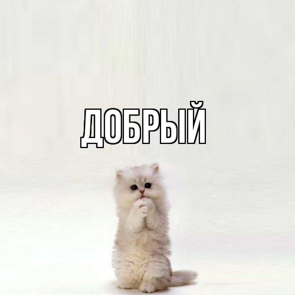 Открытка  с именем. Добрый, Главная  