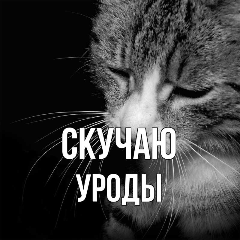 Картинка Скучаю, уроды