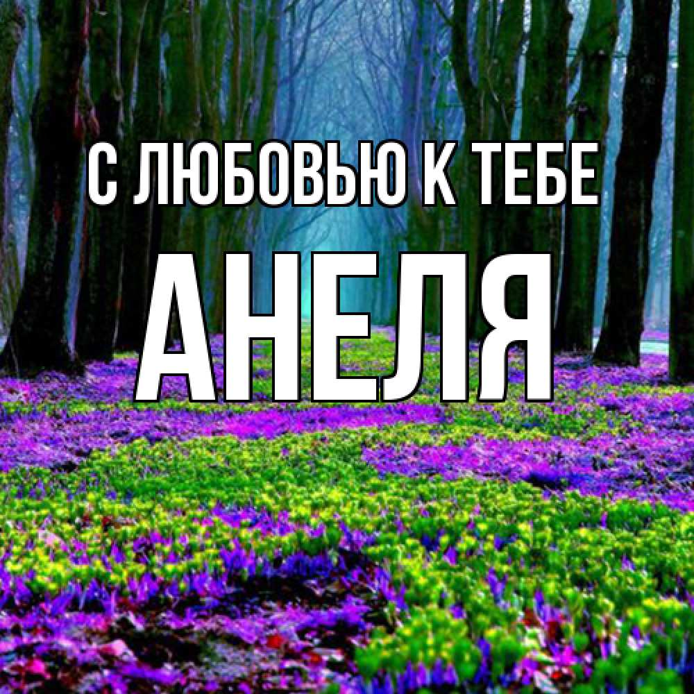 Открытка  с именем. Анеля, С любовью к тебе  