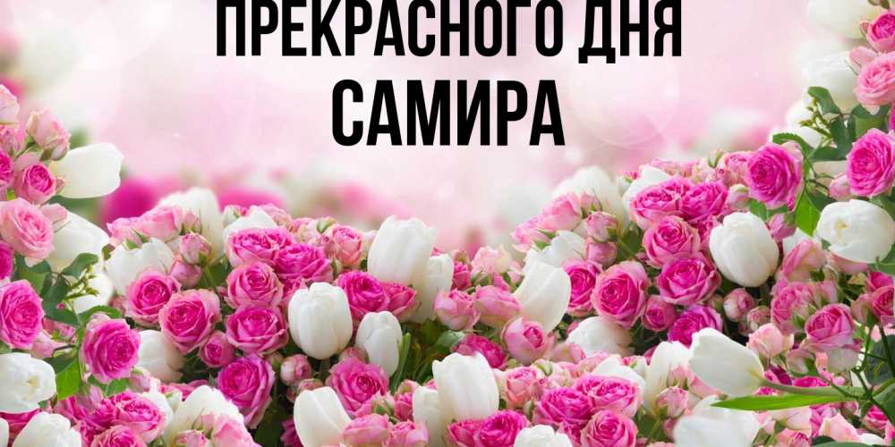 Открытка  с именем. Самира, Прекрасного дня  