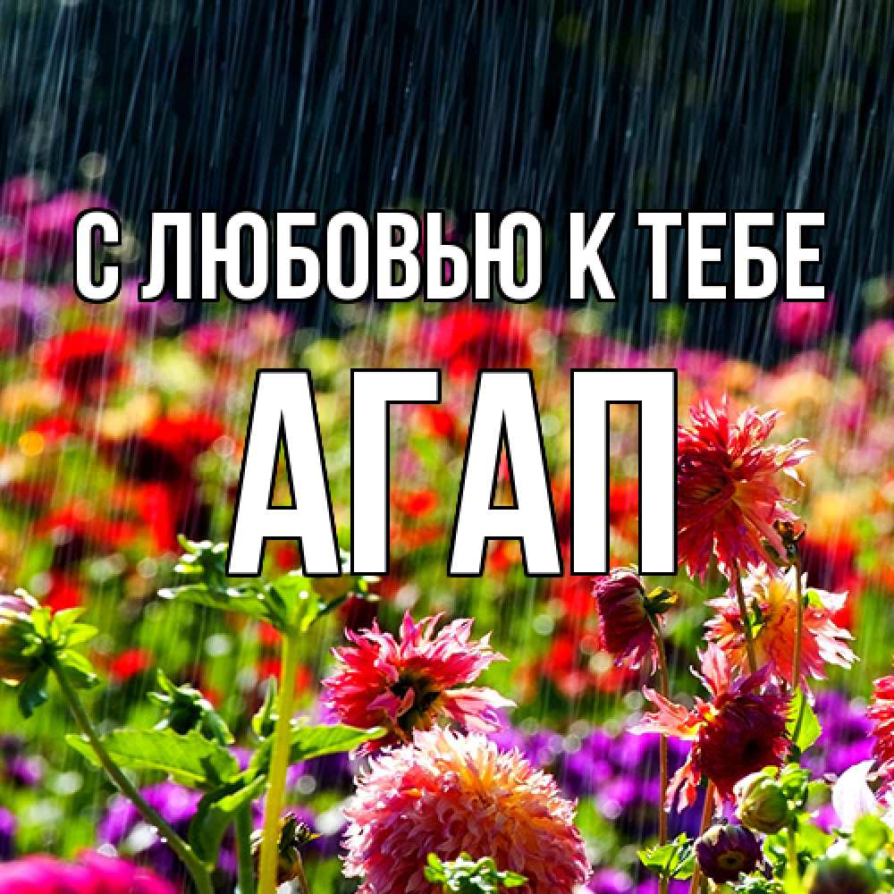 Открытка  с именем. Агап, С любовью к тебе  