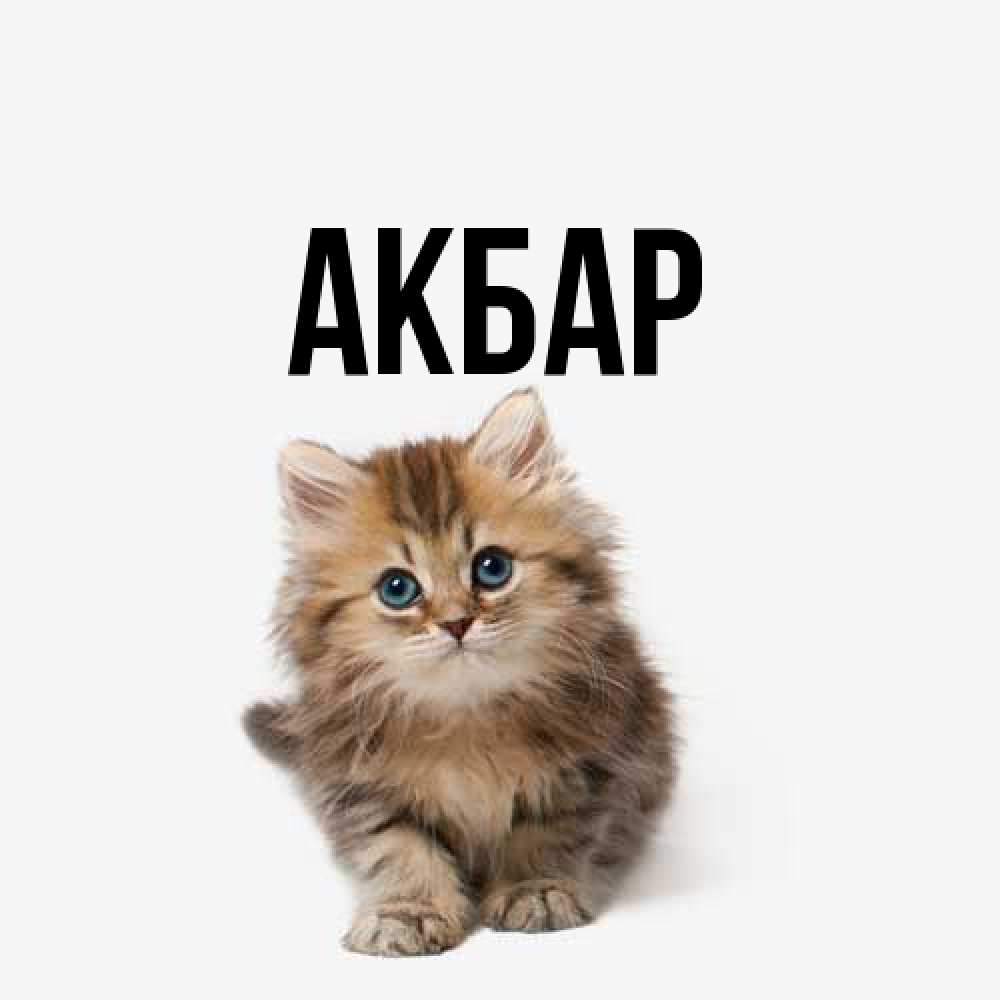 Открытка  с именем. Акбар, Главная  