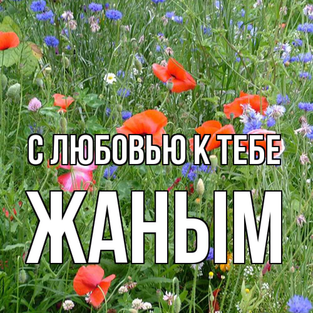 Открытка  с именем. Жаным, С любовью к тебе  