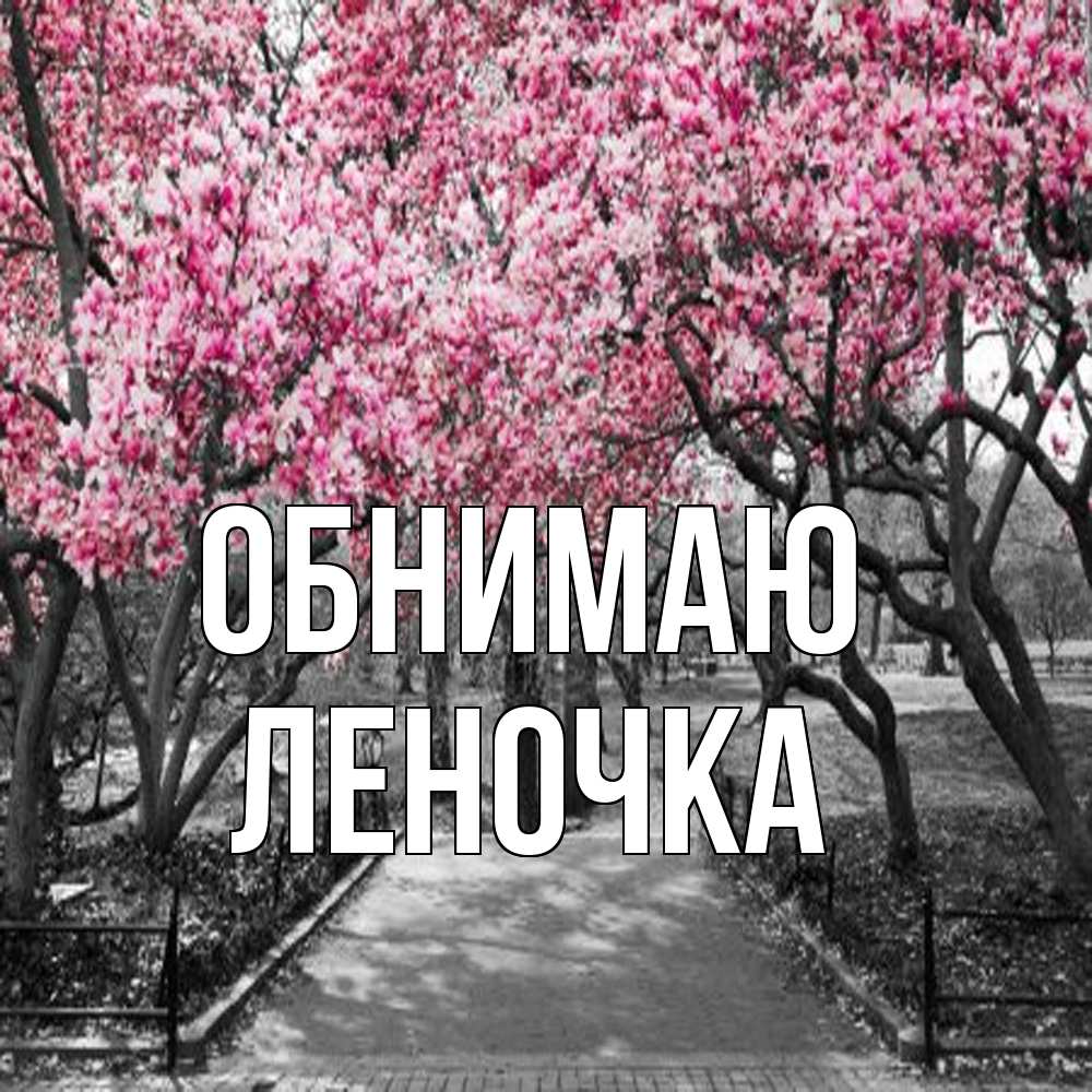 Открытка  с именем. Леночка, Обнимаю  